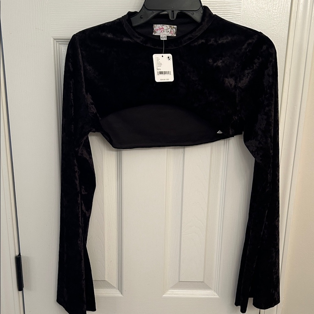 Free People Black Velvet Long-Sleeve Crop Top